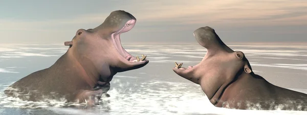 Hippopotamus fight - 3D render — Stock Photo, Image