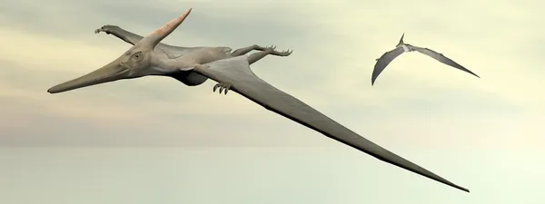 Dinosauři Pteranodonka létání - 3d vykreslení — Stock fotografie