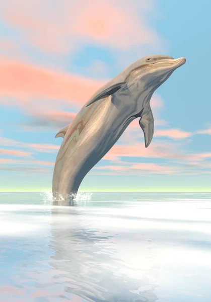 Freedom of the dolphin - 3D render — Stock Photo, Image