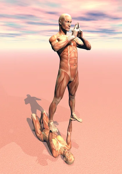 Feminino segurando músculos masculinos - 3D render — Fotografia de Stock