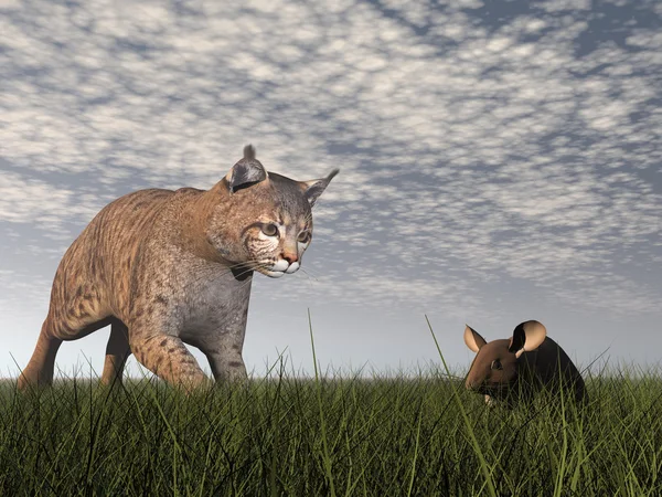 Bobcat hunting mouse - 3D render — Stock Photo, Image