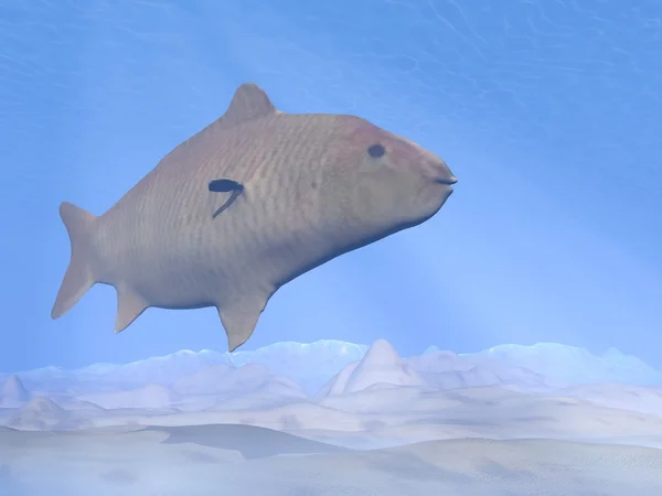 Karp ryb pod wodą - 3d renderowania — Zdjęcie stockowe