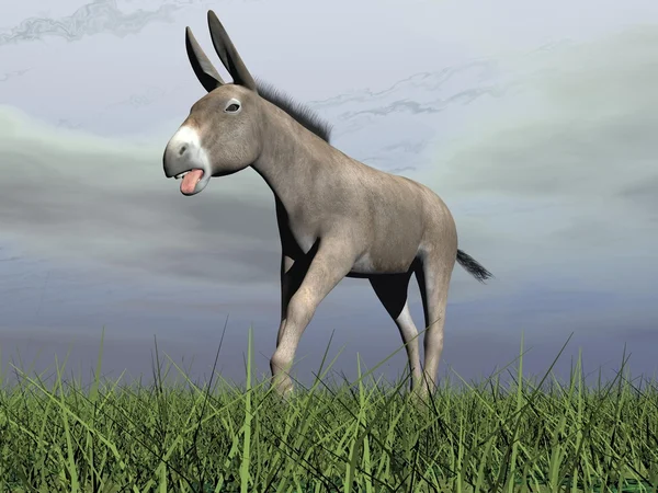 Angry donkey - 3D render — Stock Photo, Image