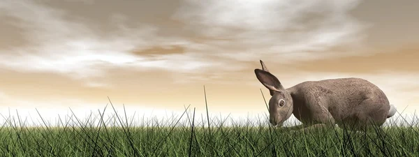 Leiser Hase - 3D-Render — Stockfoto