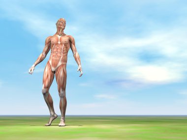 erkek kas - 3d render yürümek
