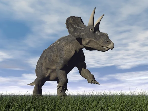 Diceratops dinozaur - 3d render — Zdjęcie stockowe
