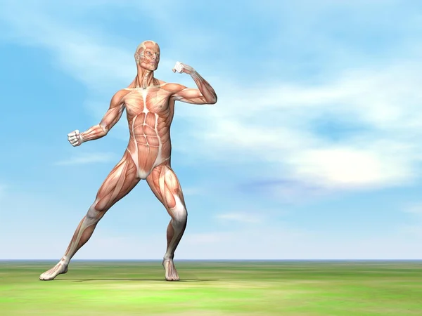 Musculatura masculina lista para luchar - 3D render — Foto de Stock