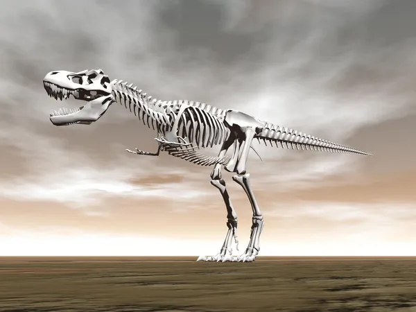 Tyrannosaurus rex Skelett - 3D-Darstellung — Stockfoto