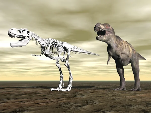 Tyrannosaurus rex - rendering 3D — Foto Stock