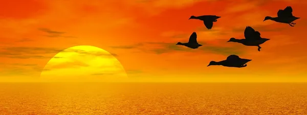 Flying ducks - 3D render — Stock Photo, Image