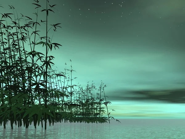 Zen natur - 3d render — Stockfoto