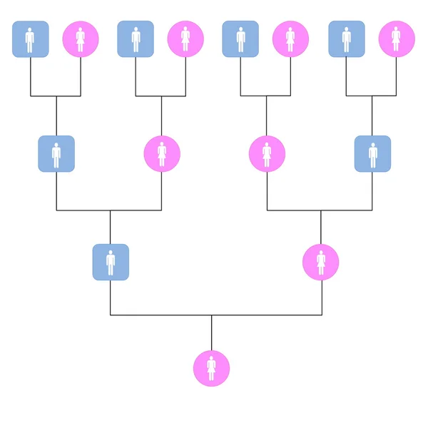 Family tree — Stock Photo, Image