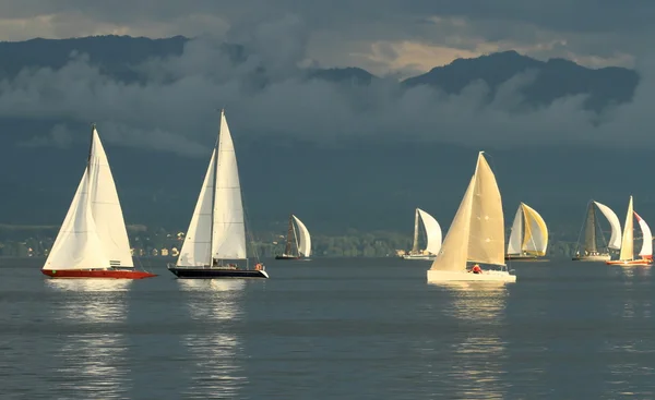 Sailboat race by sunset — Stock Photo, Image