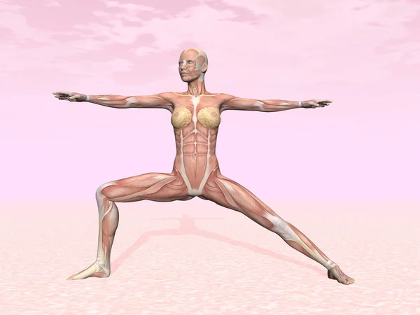 Поза воина йоги для женщины с видимой мышцей — стоковое фото