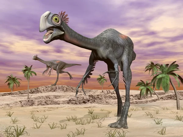 Dinosaurios gigantoraptores en el desierto - 3D render —  Fotos de Stock