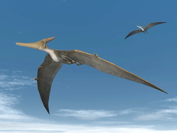 Dinosaurios Pteranodon volando - 3D render —  Fotos de Stock