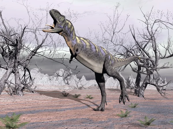 Dinosauro Aucasaurus - rendering 3D — Foto Stock