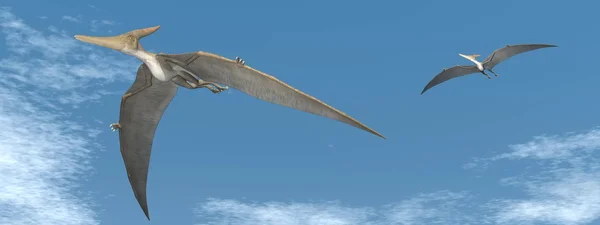 Dinosaurios Pteranodon volando - 3D render — Foto de Stock