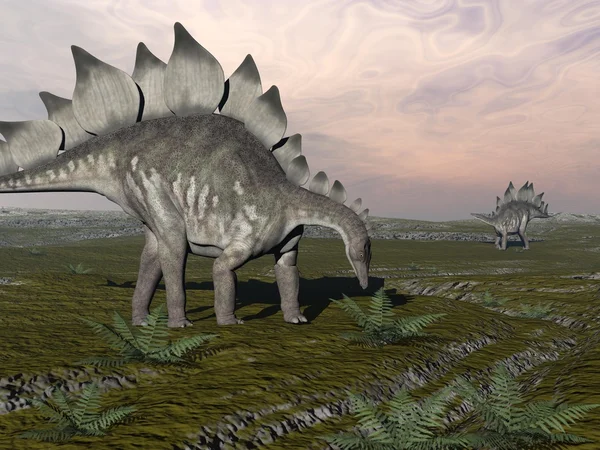 Hungriga stegosaurus - 3d render — Stockfoto