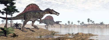 Spinosaurus dinosaurs in desert - 3D render clipart