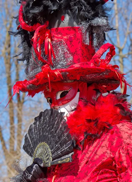 Benátský karneval v annecy, Francie — Stock fotografie