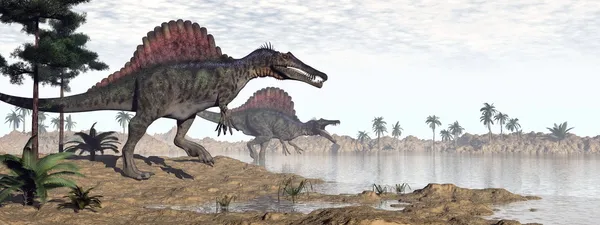 Spinosaurus dinozorlar çöl - 3d render