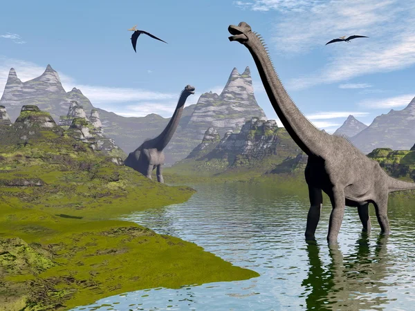 Brachiosaurus dinosaurs in water - 3D render — Stock Photo, Image
