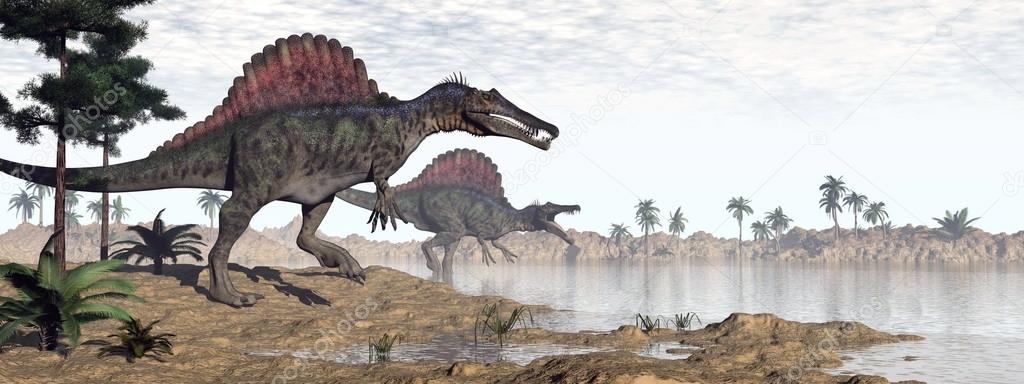 Spinosaurus dinosaurs in desert - 3D render