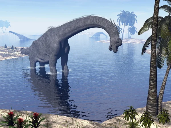 Brachiosaurus dinosaur in water - 3D render — Stock Photo, Image