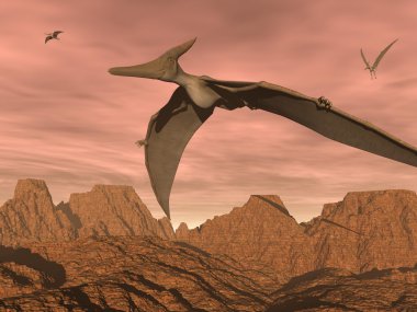 pteranodon - 3d render uçan Dinazorlar