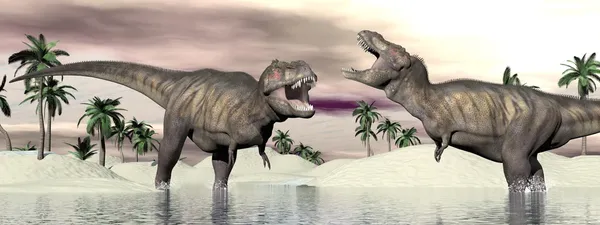 Битва динозавров тираннозавра и рекса - 3D рендеринг — стоковое фото