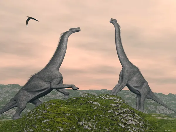 Brachiosaurus Dinozorların - 3d render mücadele — Stok fotoğraf