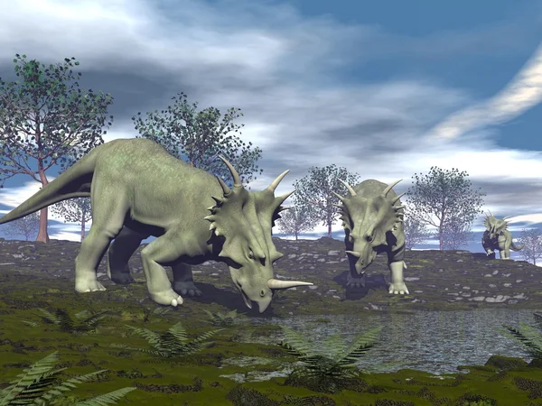 Styracosaurus dinosaurs going to water - 3D render — Stock Photo, Image