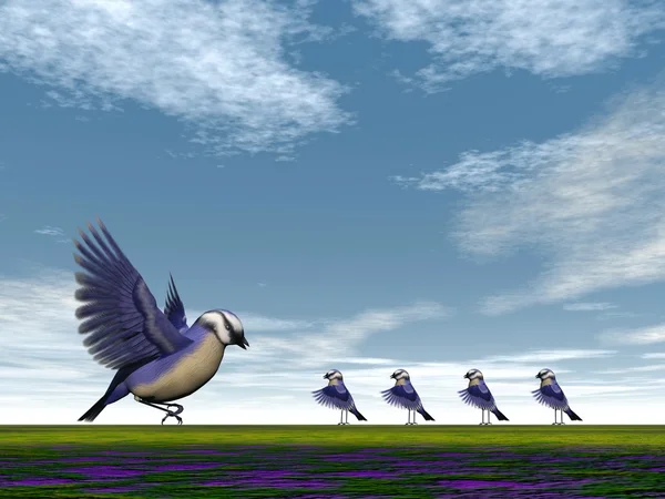 Florida jay birds family - 3D render — Stock Photo, Image