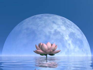 gece - 3d render tarafından Lily çiçek