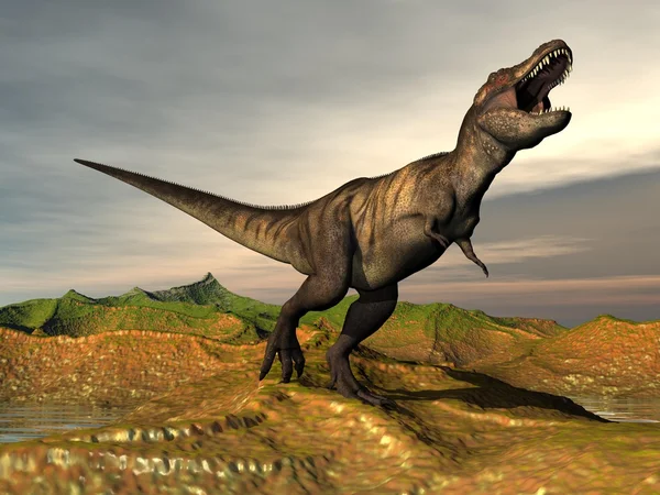 Tyrannosaurus rex dinosaur - 3D render — Stock Photo, Image