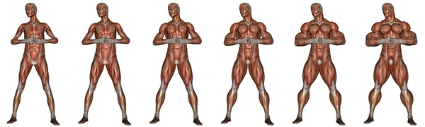 Becoming a muscular man - 3D render — Stock Photo, Image