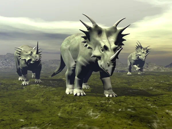 Styracosaurus dinosaurs walking - 3D render — Stock Photo, Image