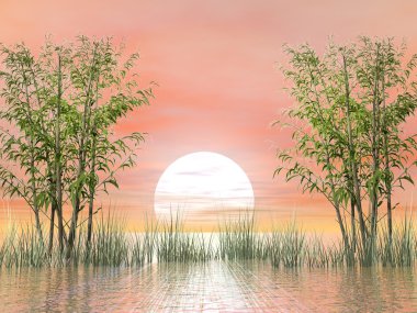 gün batımı - 3d render ile bir bambu