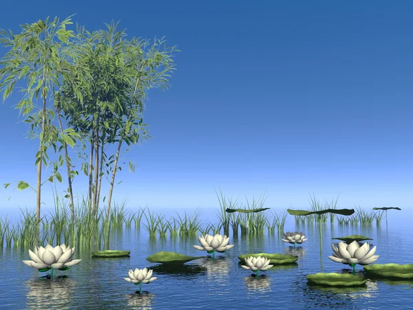 Bamboo and lily flowers - 3D render — Stock Photo, Image