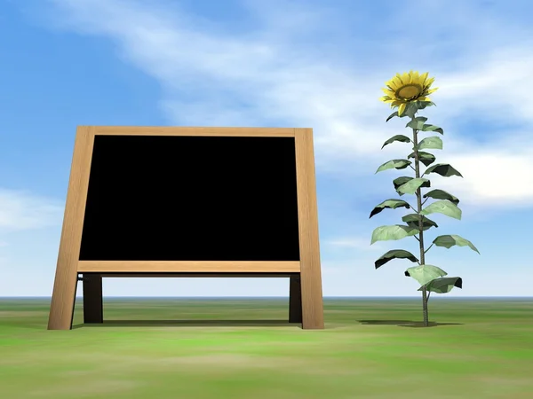 Sunflower blackboard - 3D render — Stock Photo, Image