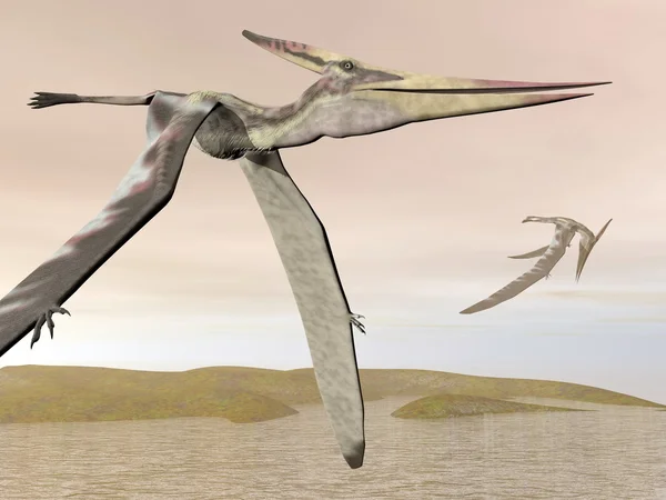 Pteranodonka létání - 3d vykreslení — Stock fotografie