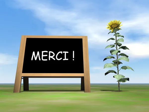 Sunflower blackboard saying thank you in french - 3D render — Stock Photo, Image