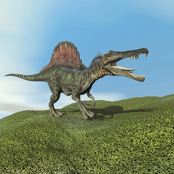 Spinosaurus dinosaur - 3D render — Stock Photo, Image