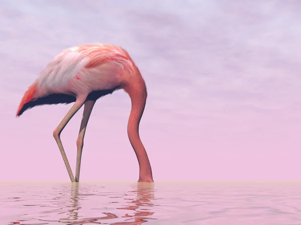 Flamingo gömmer huvudet i vatten - 3d render — Stockfoto