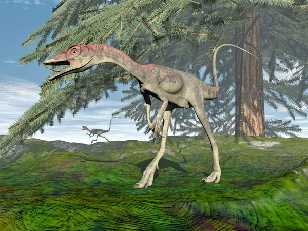Compsognathus dinozor - 3d render — Stok fotoğraf