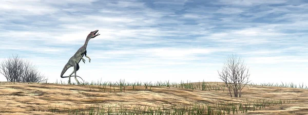 Compsognathus dinosaurie i öknen - 3D render — Stockfoto