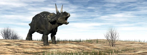 Diceratops çöldeki dinozoru yendi - 3 boyutlu görüntüleme — Stok fotoğraf