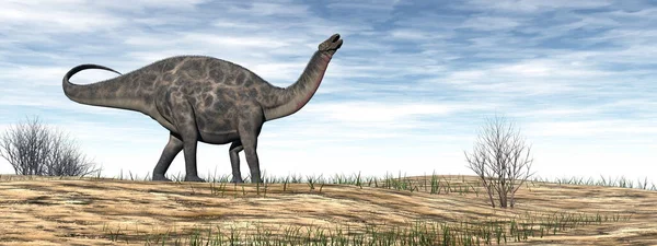 Dicraeosaurus dinosaur in the desert - 3D render — Zdjęcie stockowe