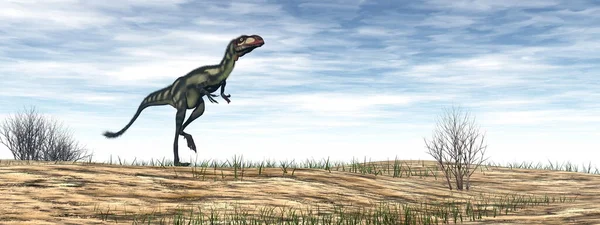 Dinosaurio Dilong en el desierto - 3D render — Foto de Stock
